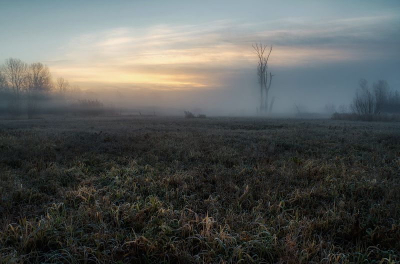 Осеннее утроphoto preview