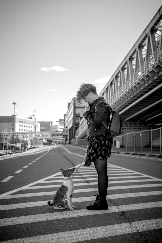 басенджи, щенок, город, прогулка, собака, собаки, черно-белое, pet, puppy, animal, basenji Прогулкаphoto preview