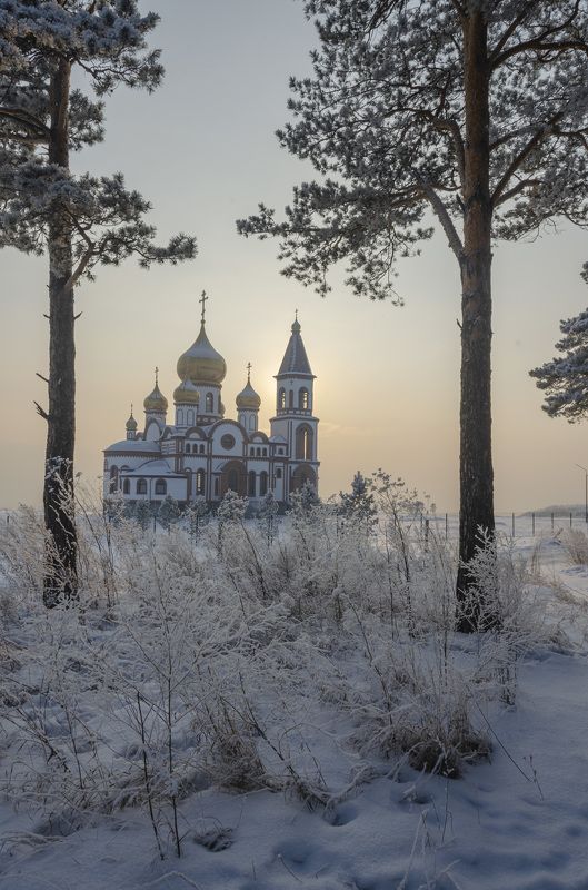 В зимнем лесуphoto preview