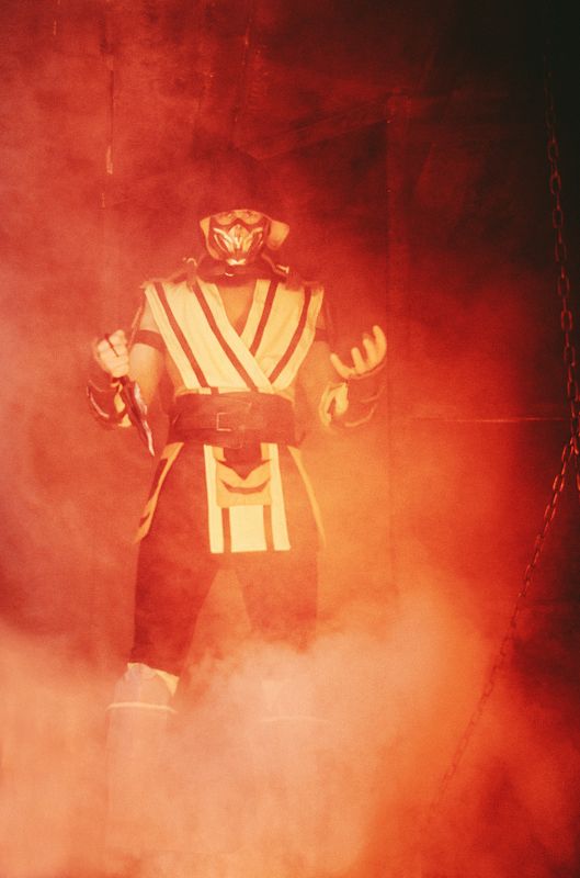 This is Scorpionphoto preview