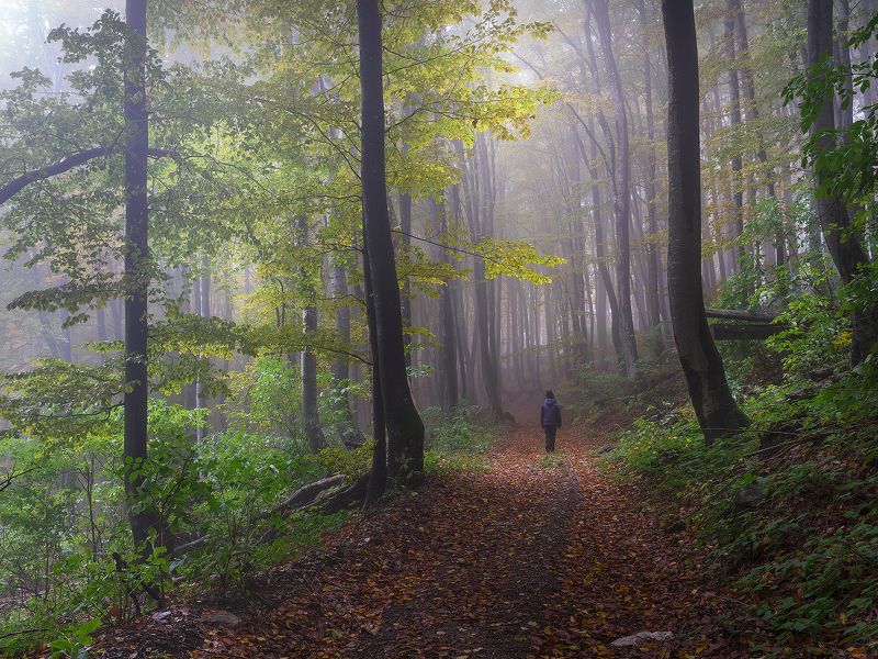 Sound of silencephoto preview