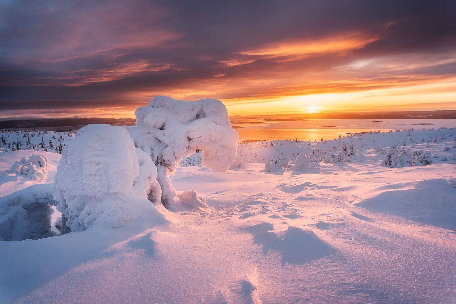 Заполярный рассвет. Автор: Андрей Баскевич заполярье, волосяная сопка, Андрей Баскевич