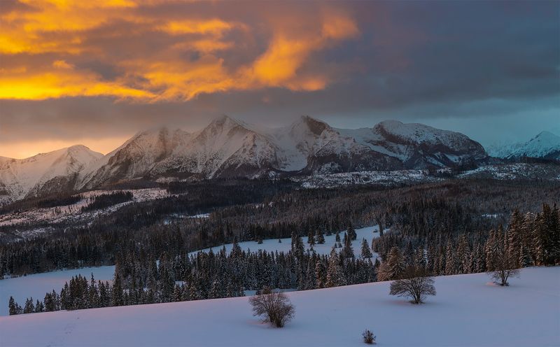 Winter in Polandphoto preview