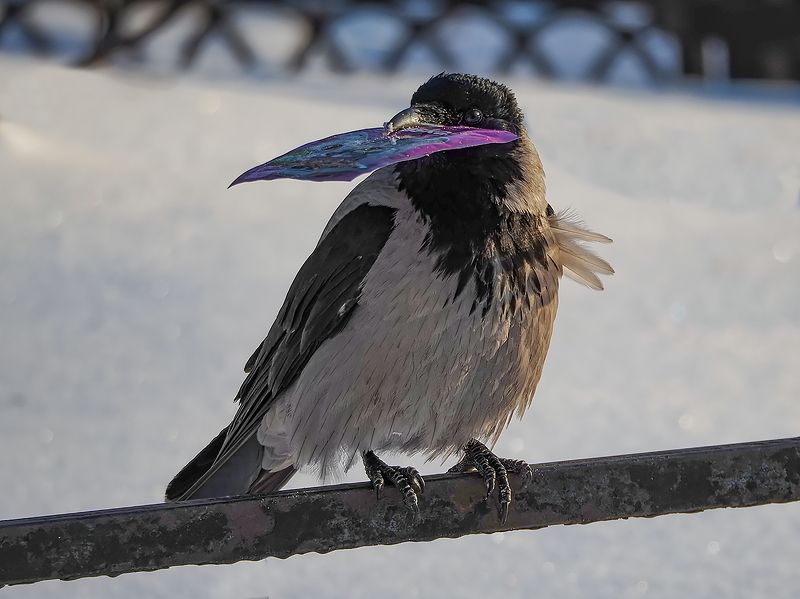 почта деда морозаphoto preview