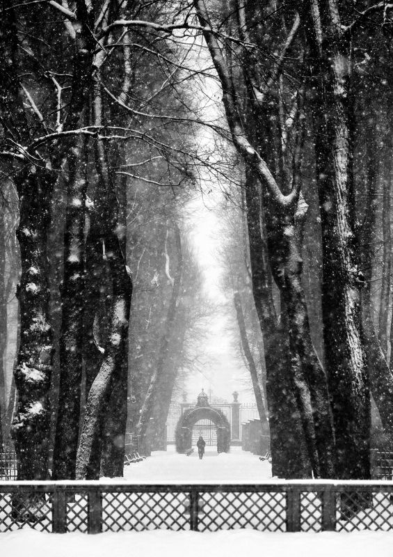 Зимний Летний садphoto preview