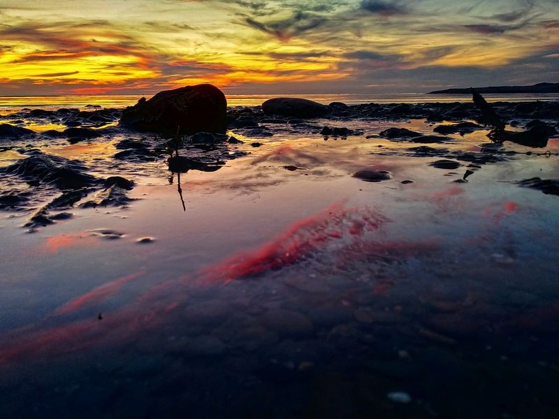 #xiaomi, , #mobilephotography, #landscape, #macro, #nature Clouds On The Waterphoto preview