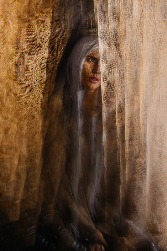 высочествоphoto preview