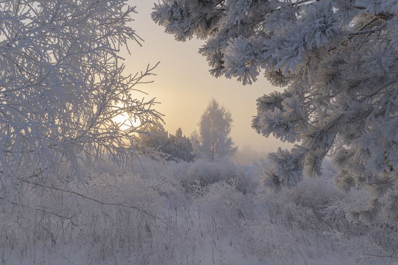 В зимней сказкеphoto preview