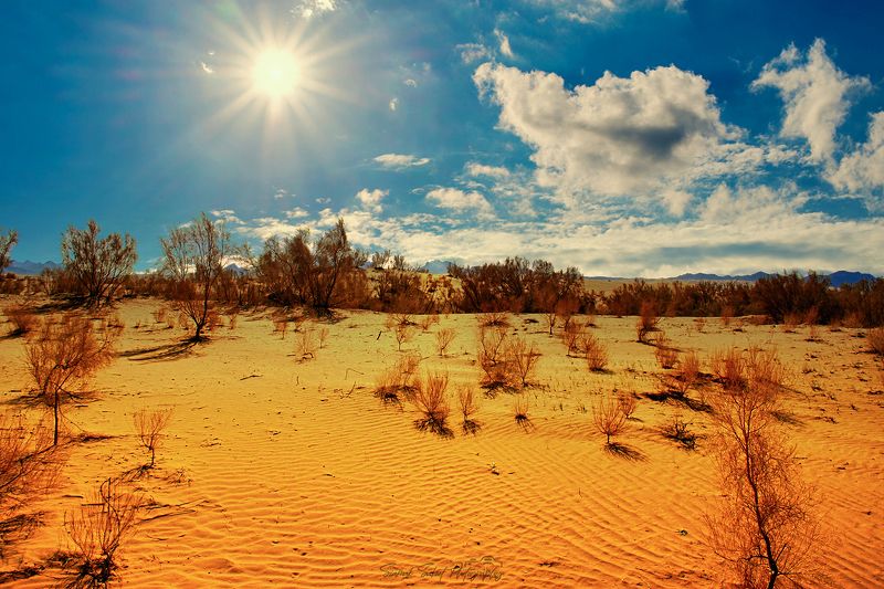 Golden Timephoto preview