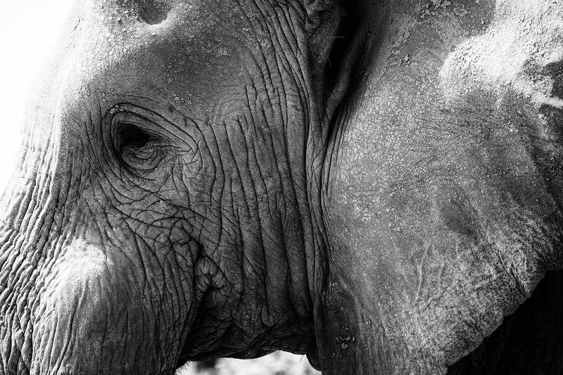 Old onephoto preview