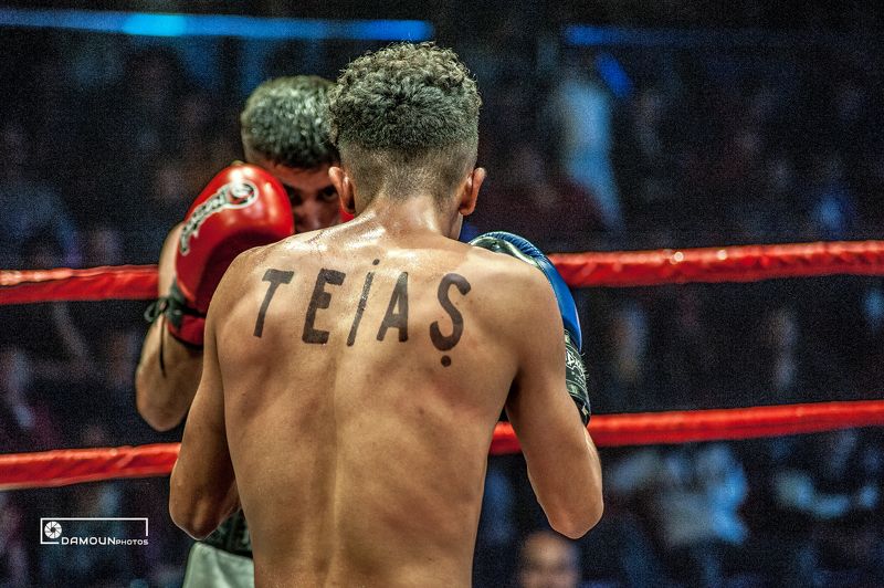 Muay Thai match in turkyephoto preview