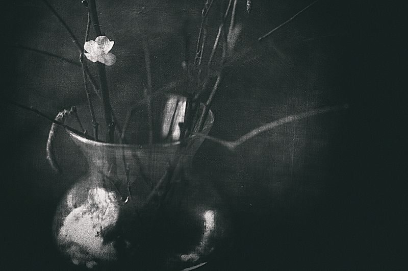 Предчувствие весныphoto preview