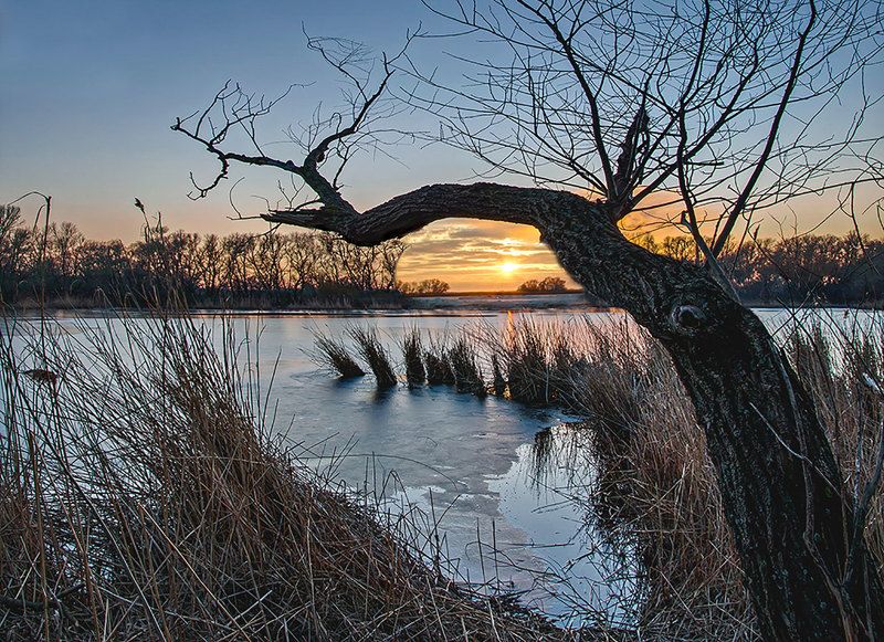 зима, январь, снег, лёд, камыш, закат, вечер Провожая деньphoto preview