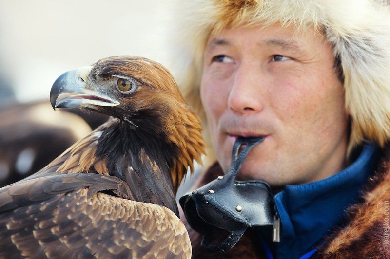 Беркутчиphoto preview