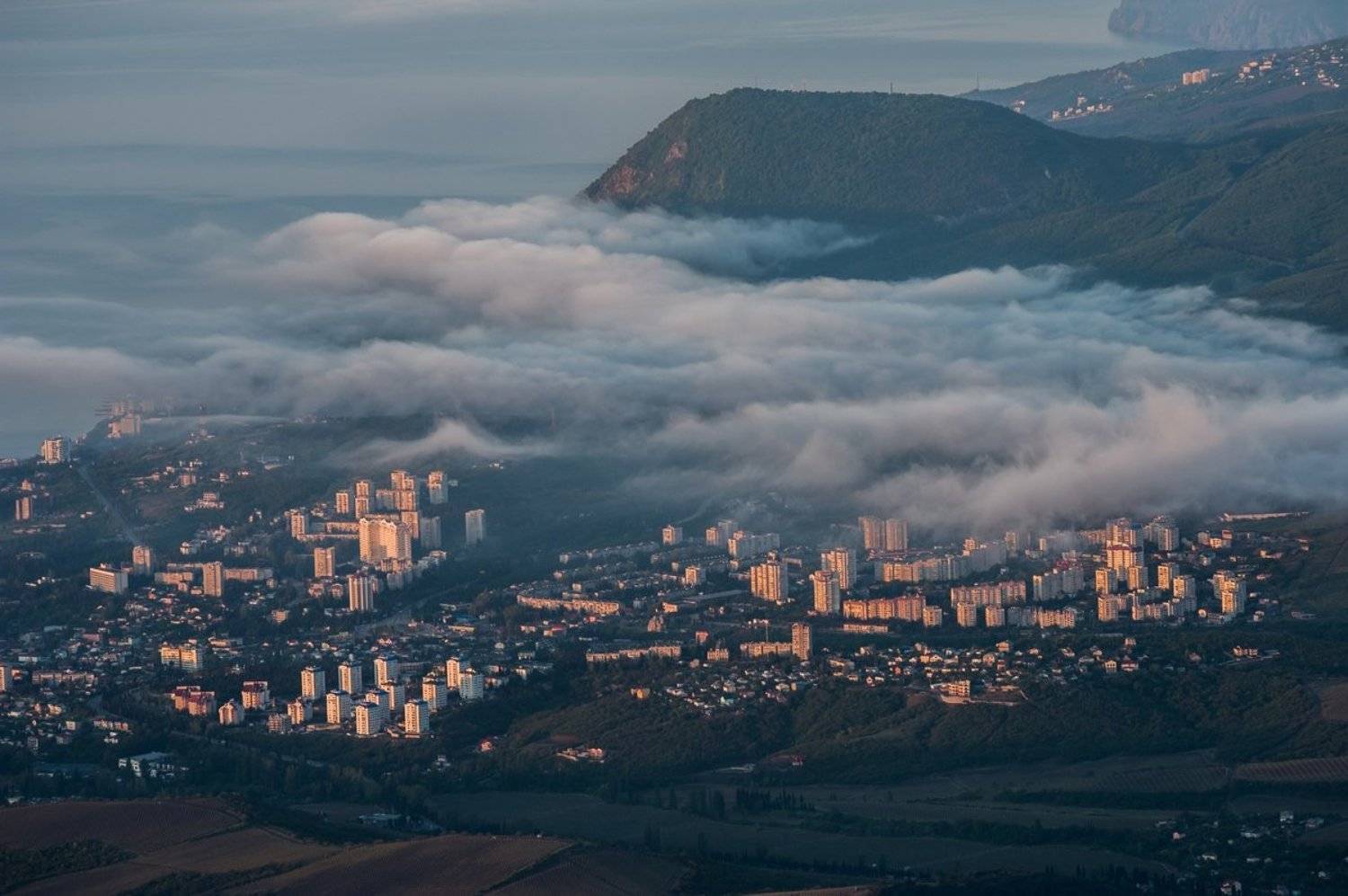 , Гвановский Владимир