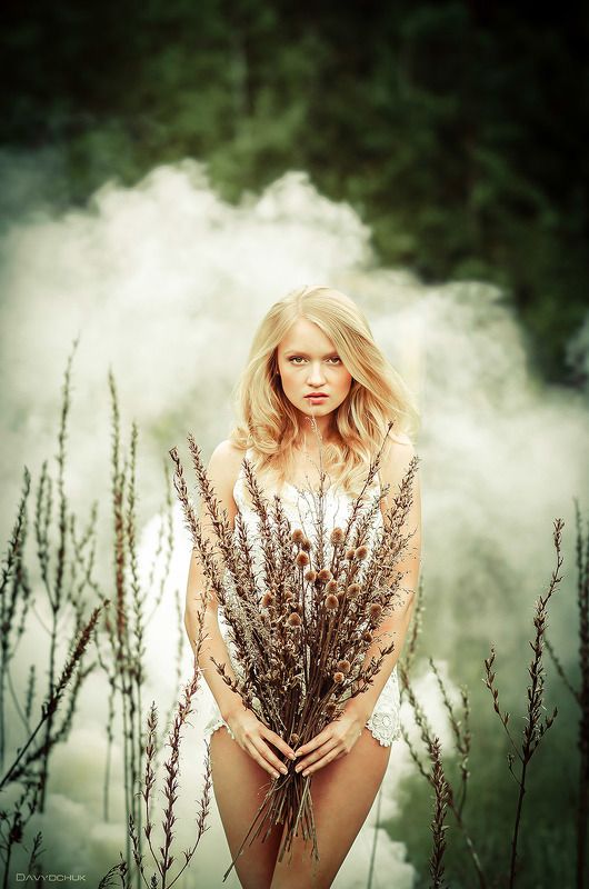 flowers wiltedphoto preview