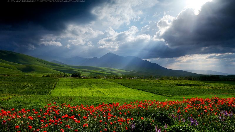 По ту сторону Зимыphoto preview