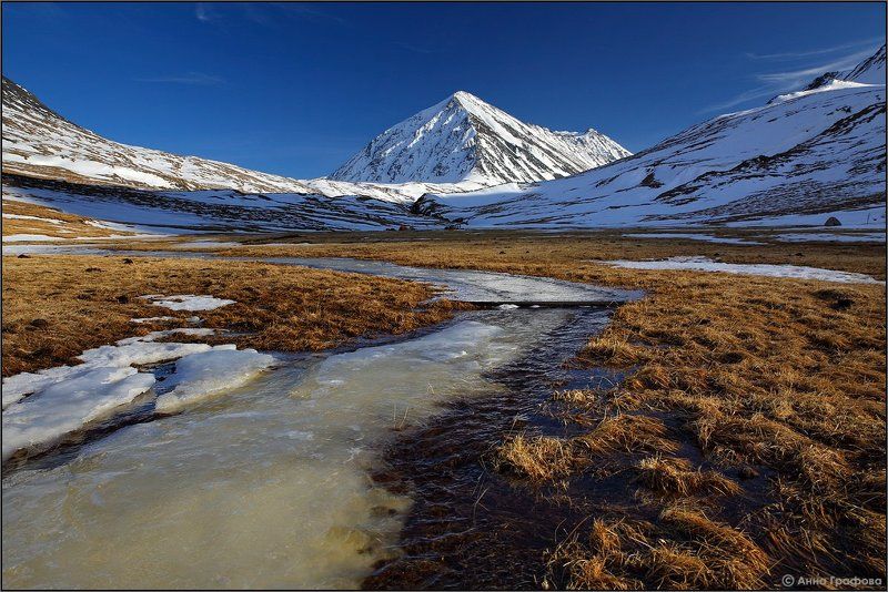 Алтай, Аня графова, Горный алтай, Горы, Елангаш, Май, Южно-чуйский хребет Весна в долине Елангашphoto preview