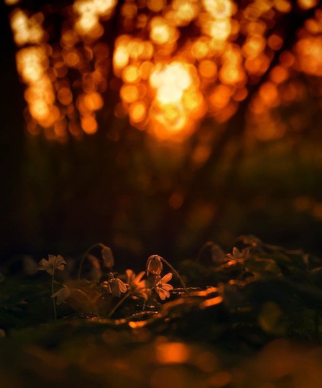 весна Вместе не страшноphoto preview