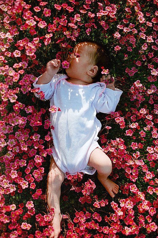 Софияphoto preview