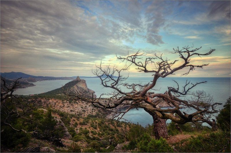 Переплетенияphoto preview