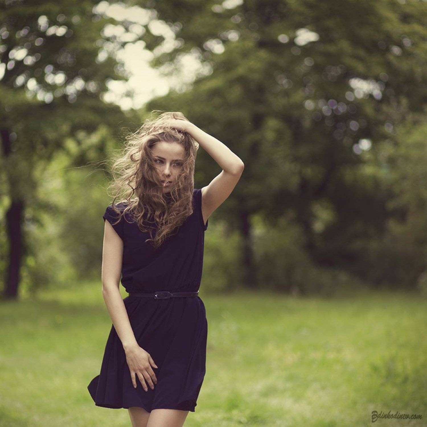 Звезди. Автор: Динко Динев , Динко Динев