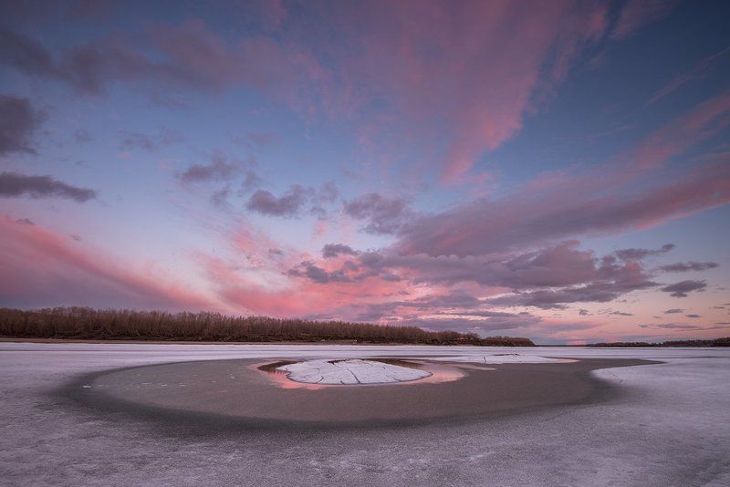 Этюд в розовых тонахphoto preview