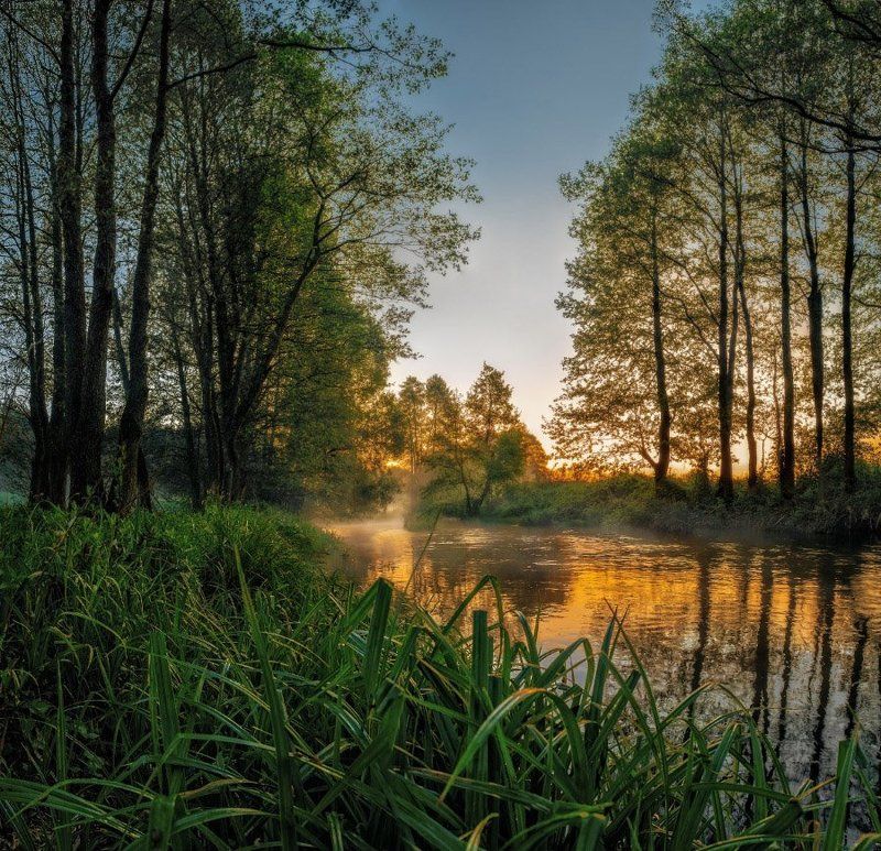 Dawn,, Fog, Light, Morning, River, Spring, Sunrise stretchy dawnphoto preview