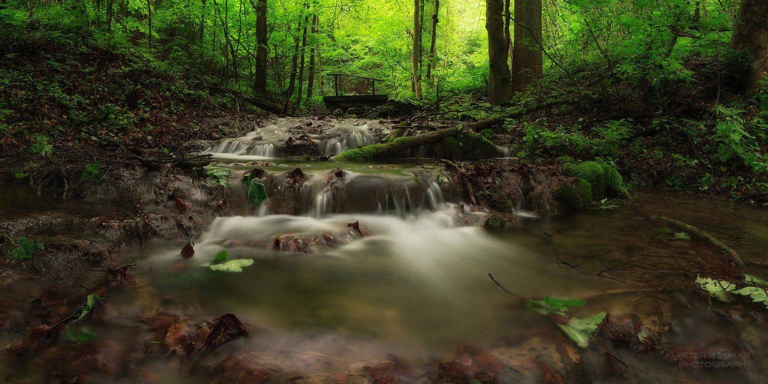 , Bogn&aacute;r P&eacute;ter