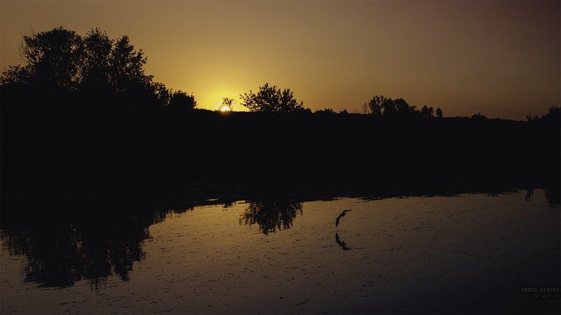 Вода, Денис клюев, Закат, Москва-река, Небо, Пейзаж, Птица, Река, Солнце Calmness фото превью