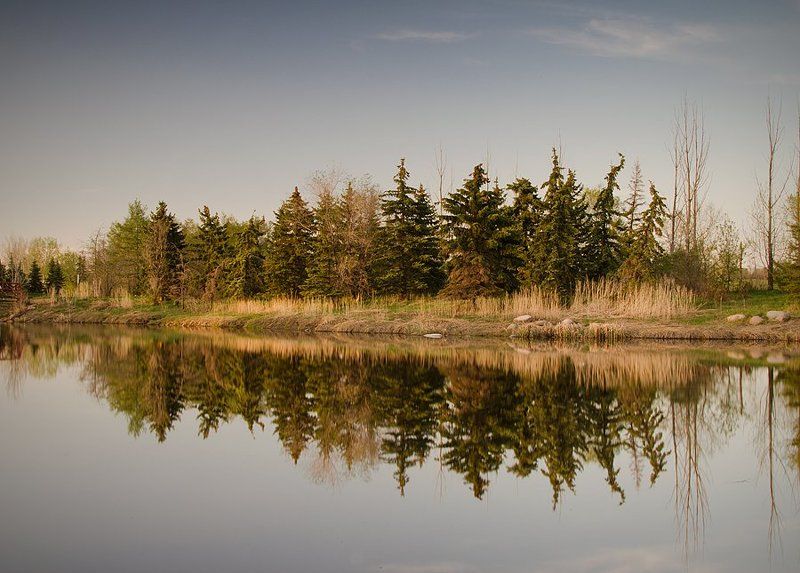 Spring. фото превью