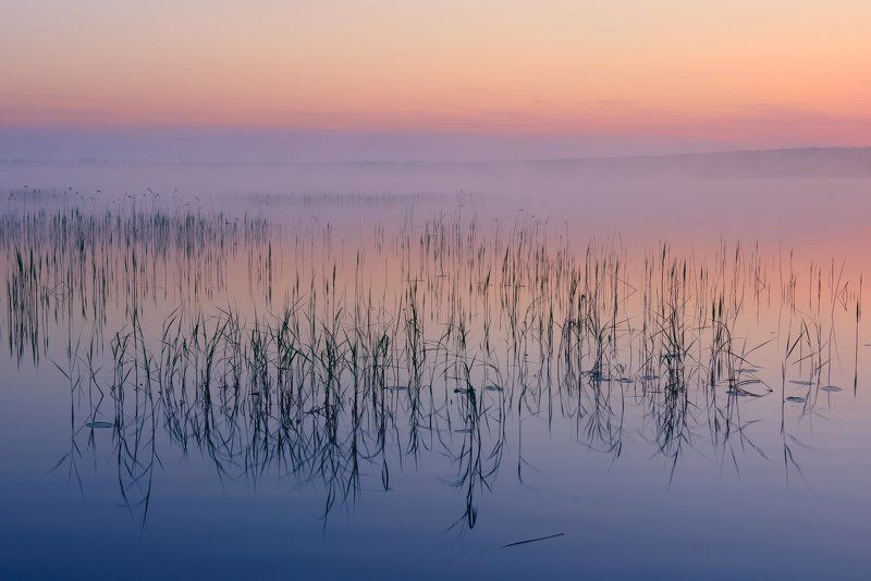 Вашутинские рассветыphoto preview