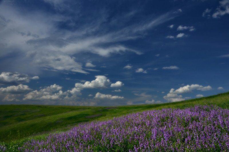 Раздольеphoto preview