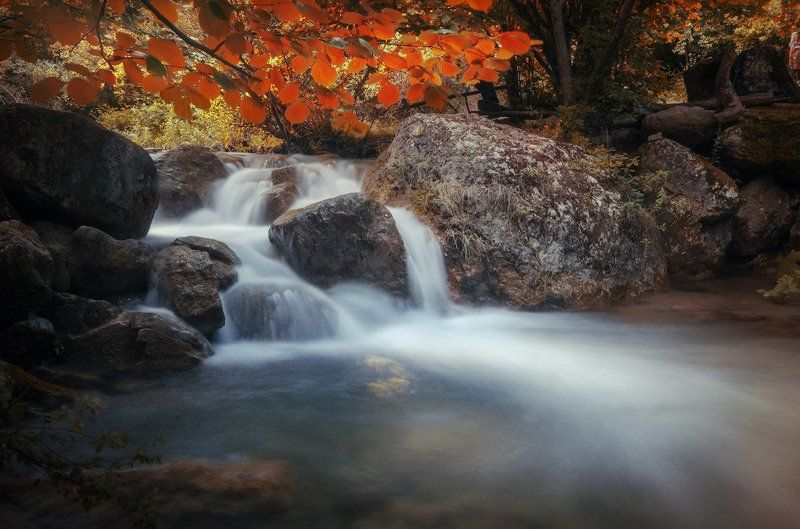 Утренняя свежестьphoto preview