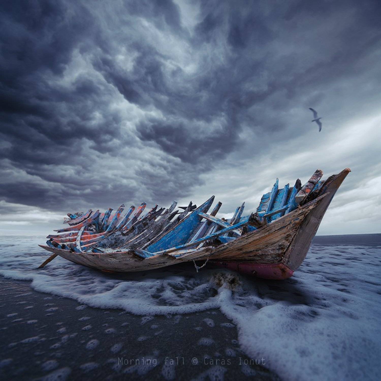 , Caras Ionut