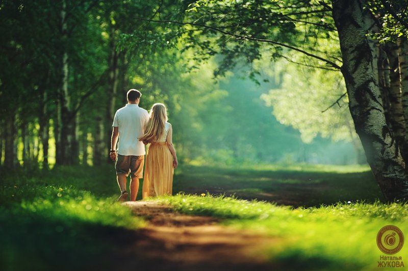 Утро в лесуphoto preview