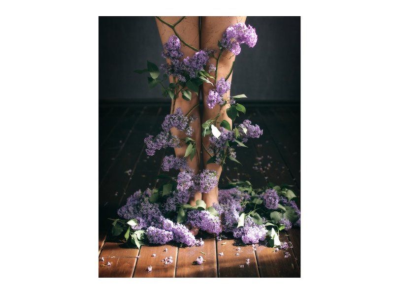 Нимфа, Сирень, Цветы Легенда о речной нимфе Сирингеphoto preview