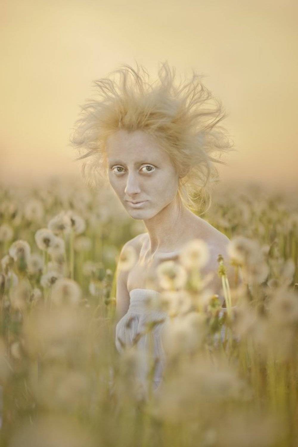 Одуванчики. Автор: Елена Воеводина , Елена Воеводина