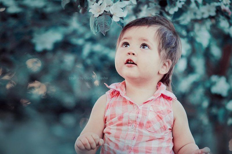 Алисаphoto preview