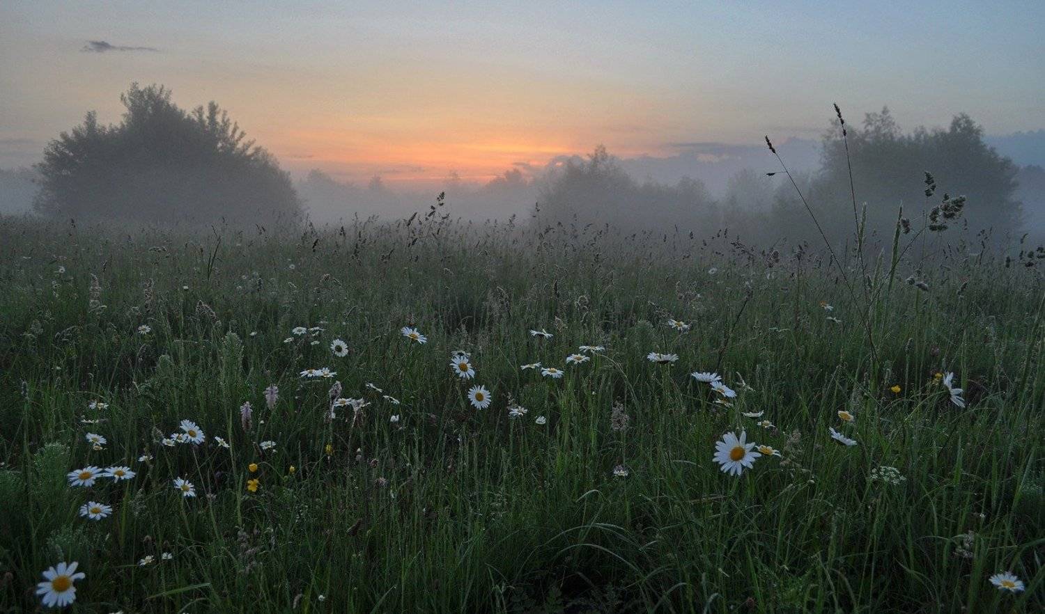 , Володимир Карчевський