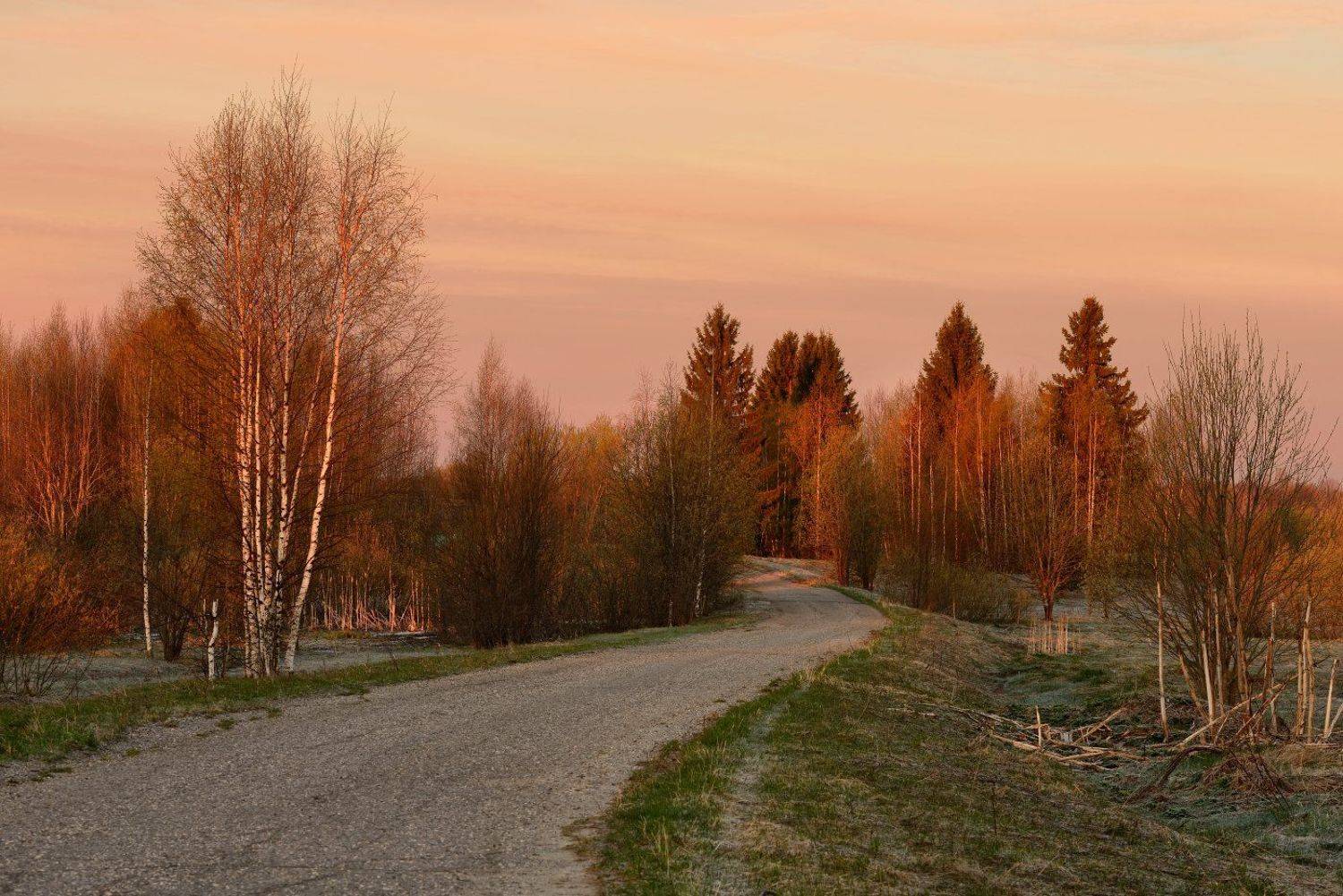 , Максим Евдокимов