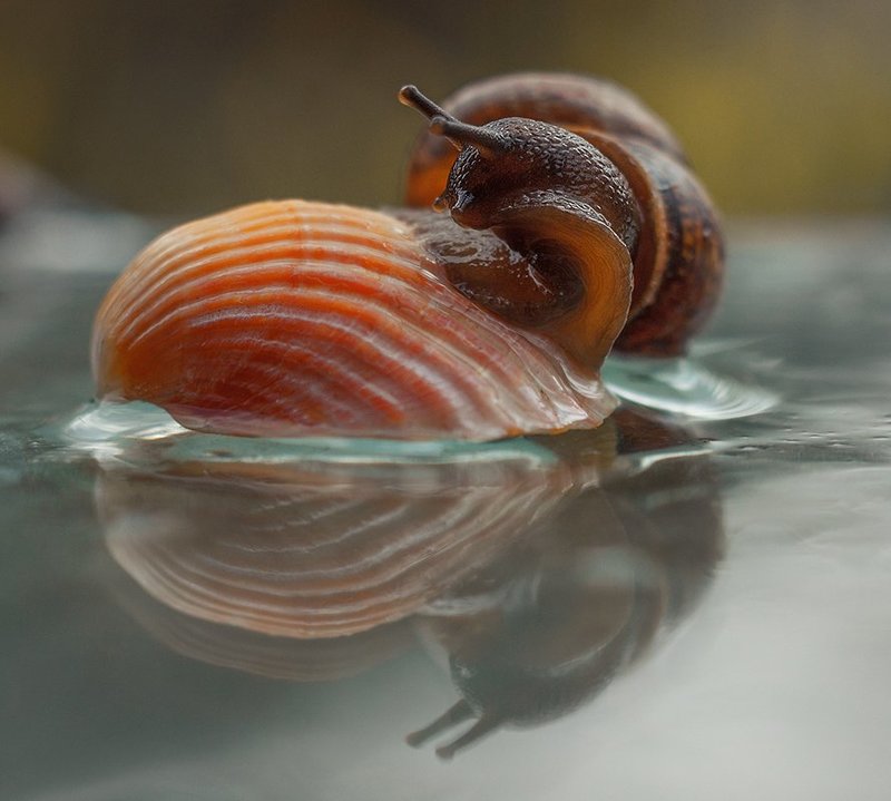 Изгибыphoto preview