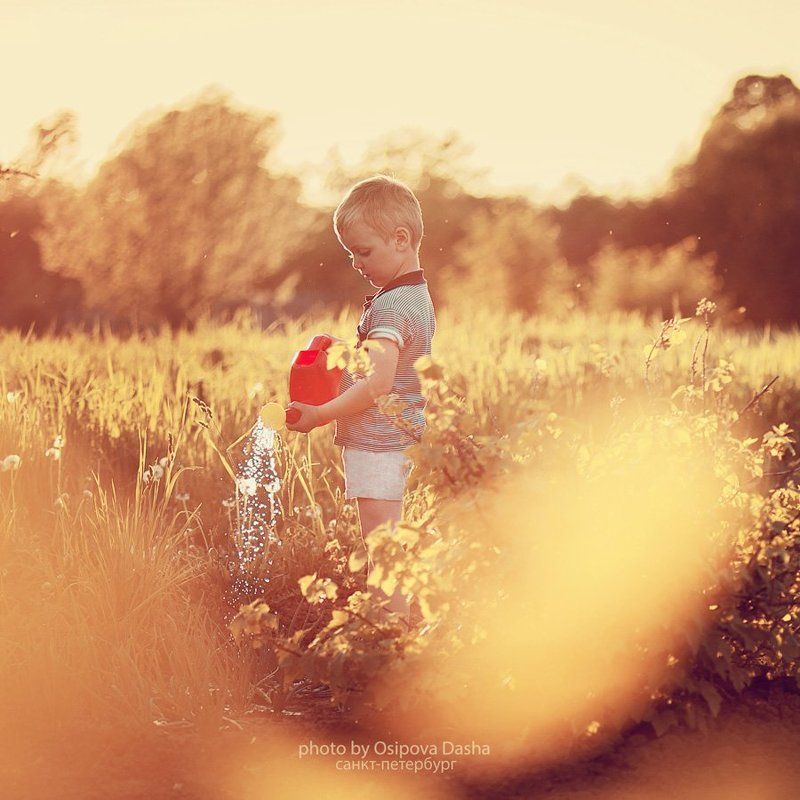 Солнышкоphoto preview