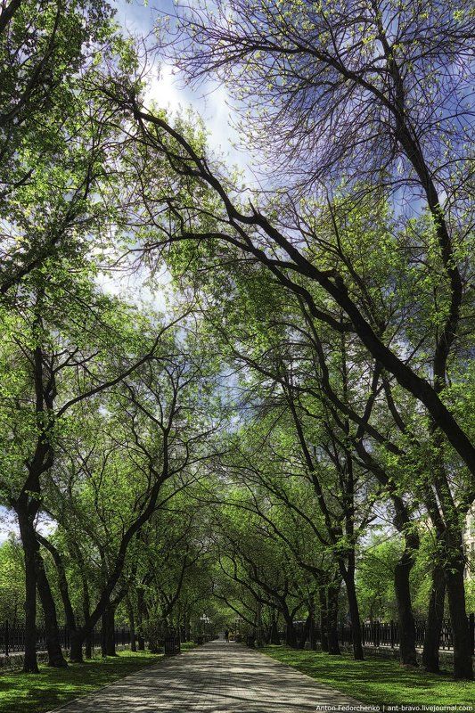 Аллея, Екатеринбург, Проспект Аллея II фото превью