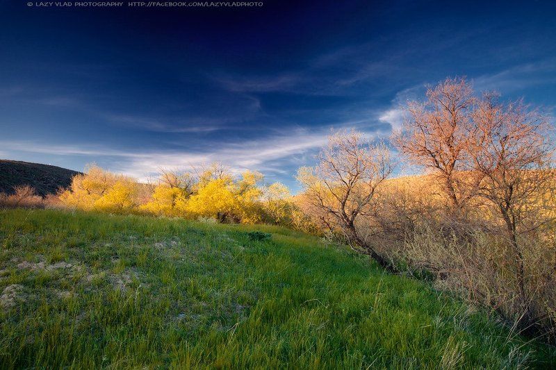 Немного осени веснойphoto preview