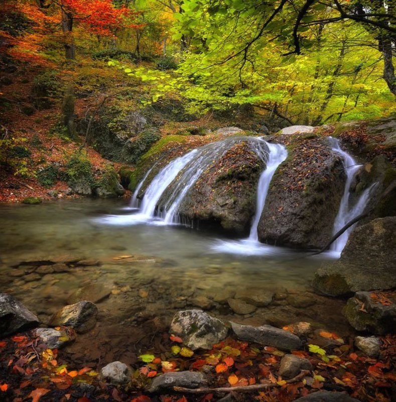 Сочная осеньphoto preview