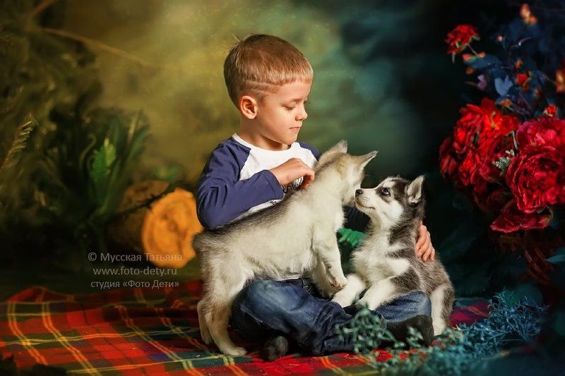 Собачья верностьphoto preview