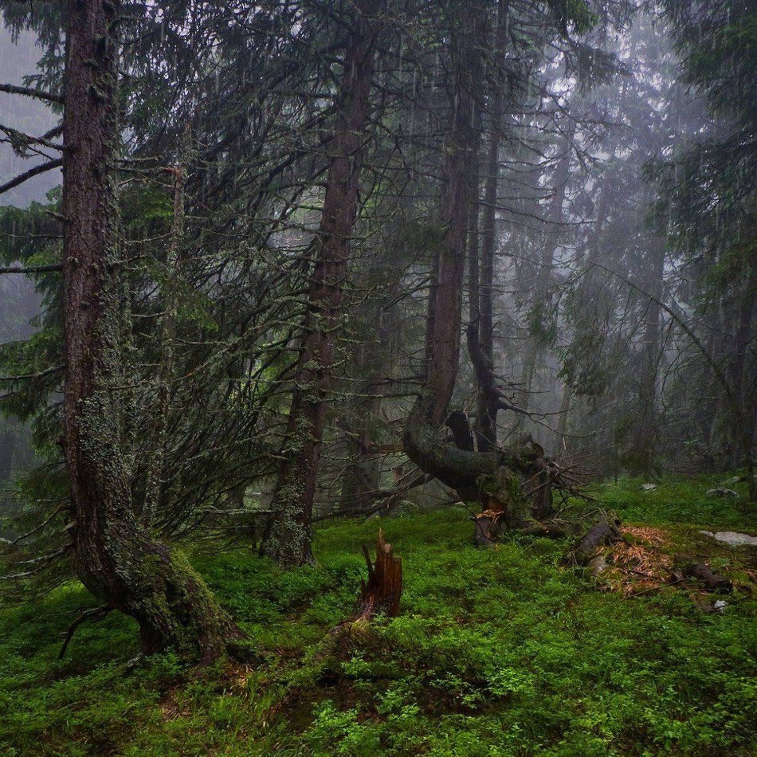 Автор: Svetoslav Georgiev , Svetoslav Georgiev