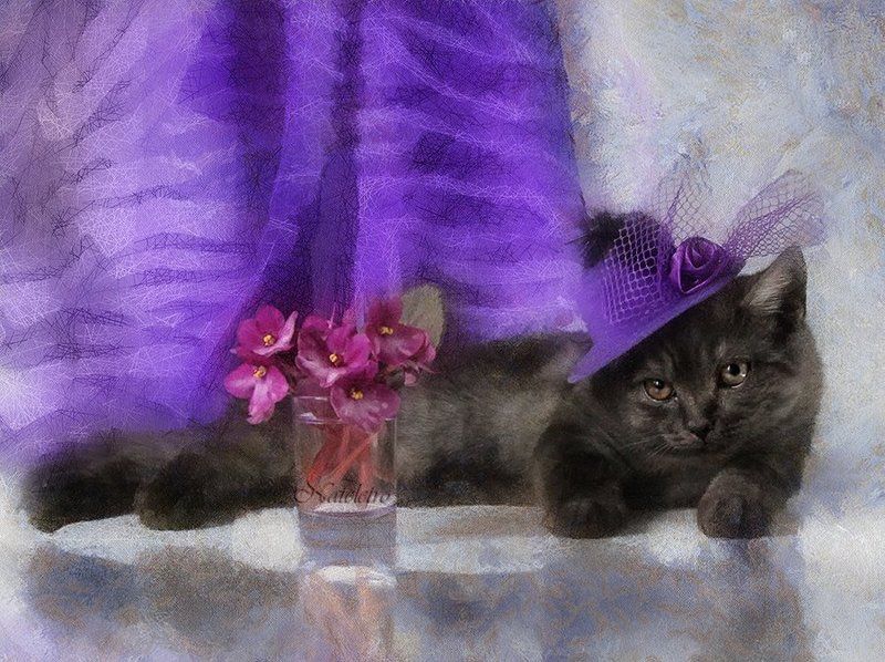 Про шляпки для ледиphoto preview