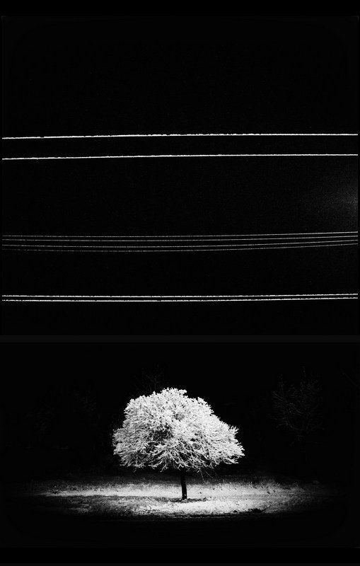 Neverwinterphoto preview